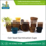 Coir Seed Germination Cups for Replantation in Nurseries