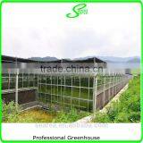2014 Hot Sale Glass Greenhouse Used for Flower thumbnail-4