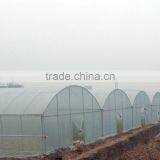 Independent Ecological Greenhouse Anti-fog and Dirt thumbnail-1