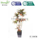 China, Guangdong Artificial Decor Bonsai for Sale thumbnail-5