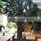 Home Garden Decoration 100cm to 1000cm Height Artificial Indoor Live Plastic Ficus Red With Green Palm Tree EZLS05 1007 thumbnail-3