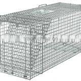 Live Animal Professional Style One Door Large Cage Trap thumbnail-1