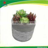 Desktop Decoration Cements Flower Vase thumbnail-2