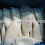 Frozen Squid Tubes Seafood Aquatic Products thumbnail-1