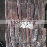 150-200g Frozen Illex Squid thumbnail-4