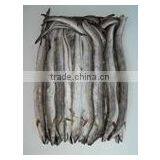 Frozen Eel thumbnail-1