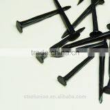 Shoe Tack Nails/blue Nail /shoe Nail/nails Blue Shoe thumbnail-2
