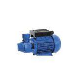 PM Series Peripheral Water Pump PM45 PM60 PM80 thumbnail-1