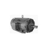 WorldWide Industrial Duty Three-Phase Motors thumbnail-3