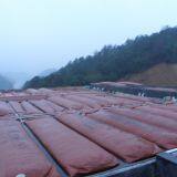 Upgrading and Easy to Clean Home Biogas Plant thumbnail-2