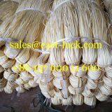 Rattan Chaircane / Rattan Peel / Rattan Skin / Rattan Chair Cane (Bleached or Semi-Bleached) thumbnail-3