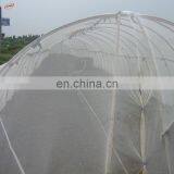 HDPE 30 Mesh 40 Mesh 50 Mesh Green House Insect Net,plastic Vegetable Anti Insect Net PE Agriculture Insect Proof Net
