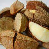 Машина для сушки фруктов типа абалон thumbnail-5