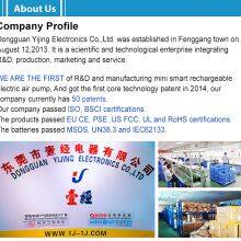 Dongguan Yijing Electronics Co., Ltd. company overview - view 3 thumbnail