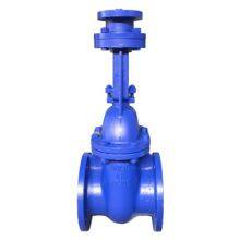 Mstnland ELECTRIC FLANGED RISING STEM GATE VALVE