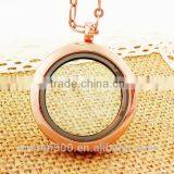 Trending Hot Products Glass Memory Lockets thumbnail-5