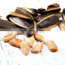 Qingdao Yiwu China Certified Organic Honey Roasted Roasted Nutrition Sunflower Seed Chacha thumbnail-3
