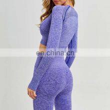 Women 2 Pieces Gym Fitness Sets Sports Bra Legging Yoga Set Ladies Athletic Wear Long Sleeve Yoga Sets thumbnail-2