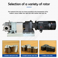 QinPing QP120M Stainless Steel Lobe Pump Double End Seals-with Variable Frequency Motor thumbnail-4