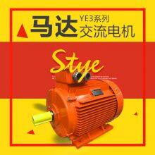 YE3 Series Low-Voltage Motor AC MOTOR thumbnail-1