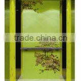 3,4,5 Persons, Small, Comfortable and Luxurious Passenger Elevator thumbnail-2