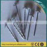 Guangzhou Factory 9 Gauge Galvanized Common Roofing Nail/Umbrella Nail