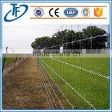 5 Feet Hot Dipped Farm Fencing Wire thumbnail-6