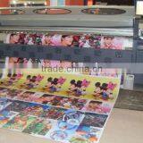 Impresoras Solventes