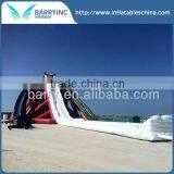Barry 3 Lane Giant Inflatable Water Slide for Adult Water Slide for Sale Large Inflatable Water Slide Price