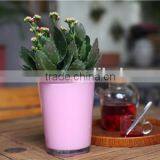 Hot selling popular indoor flower pot for living room with colors in different size
