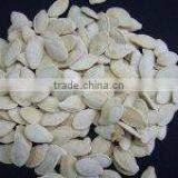 Supplying 11mm Snow White Pumpkin Seeds thumbnail-4