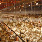 2015 Modern Broiler House Construction thumbnail-6
