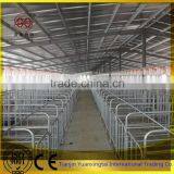 pipe for Sow cage/galvanised steel pipe/tube