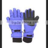 Ski Gloves