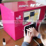 French Nail Art 2013