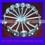 Galvanized Umbrella Roofing Iron Nails thumbnail-1