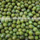 Green Mung bean