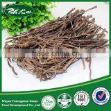 100% Nature Orinanic Dried Fern,raw Salted Ferns,delicious Salted Ferns thumbnail-4