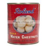 top selling products in alibaba canned water chestnut