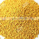 Yellow Pure Animal Fodder Material Rape Bee Pollen