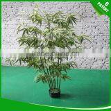 Everlasting Artificial Bamboo Plants for Decoration Shop and Hotal Park thumbnail-3