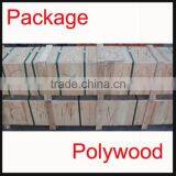 Hydraulic Cylinder for Hyundai and Other Brands Excavators