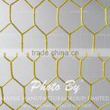 Stainless Steel Hexagonal Wire Mesh thumbnail-4