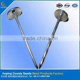 BWG8*3" Roofing Nails Galvanized Iron Nails thumbnail-1