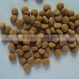 Twin Screw Extruder for Dog Food thumbnail-5