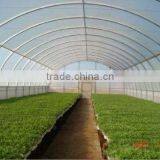 Single Span Greenhouse Film Used in Planting Flowers, Vegetables, Fruits thumbnail-3