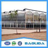 Multi Span Glass Greenhouse For Agriculture thumbnail-2