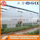 Multi-span Plastic Tomato Greenhouse Hot Galvanized Steel Frame thumbnail-2