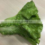 Artificial Romaine Lettuce Cos Lachca Sativa E09 02 thumbnail-1