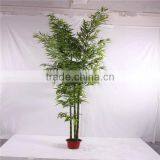 Artificial Green Bamboo Plant Real Trunk in Factory Price Good Quality thumbnail-1
